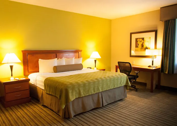 Best Western Plus Miami-Doral/Dolphin Mall